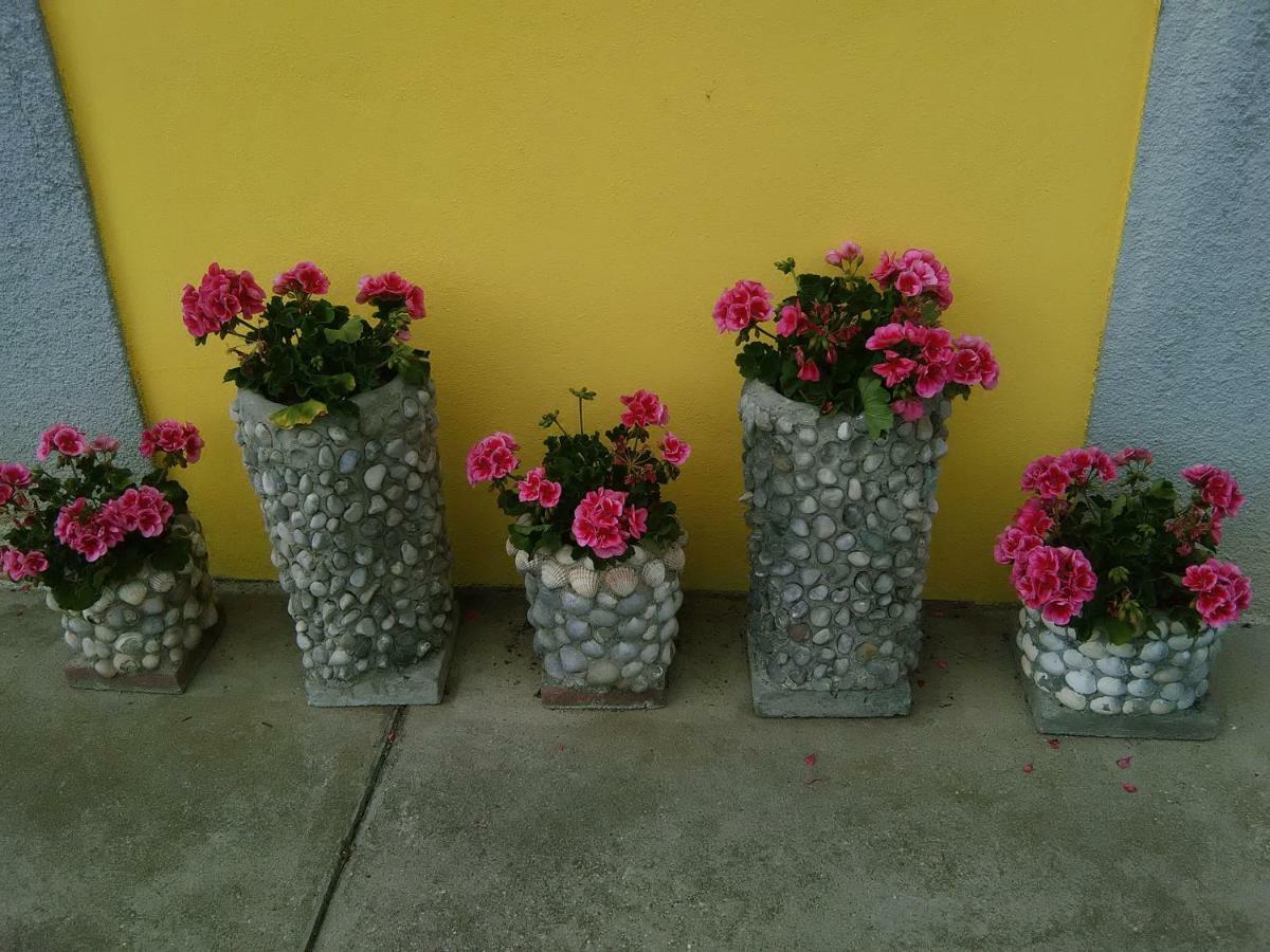 B&B Tisoi Belluno Exteriör bild